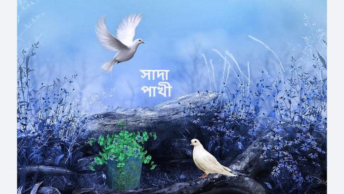 গল্পঃ সাদা পাখি