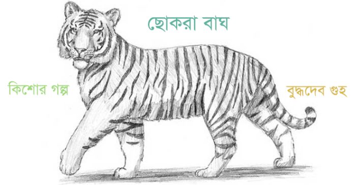 কিশোর গল্প – ছোকরা বাঘ