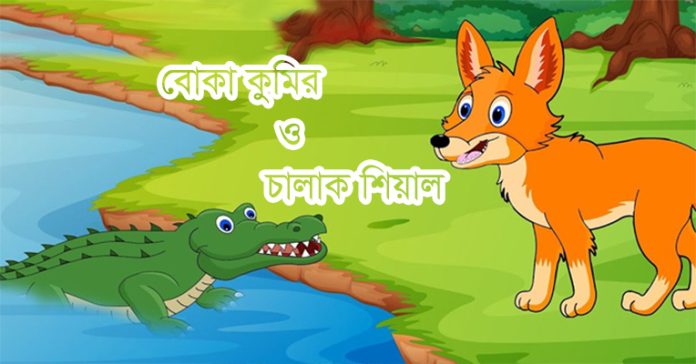 বোকা কুমির ও চালাক শিয়ালের গল্প