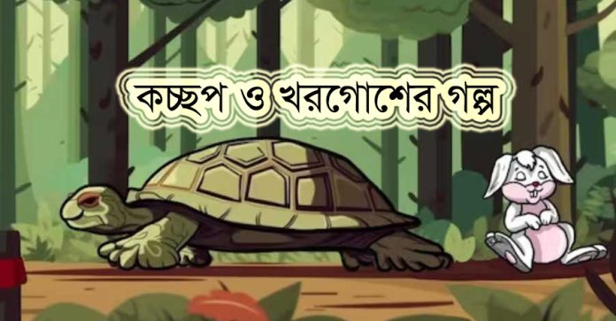 কচ্ছপ ও খরগোশের গল্প