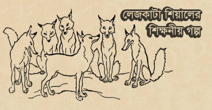 লেজকাটা শিয়ালের শিক্ষনীয় গল্প